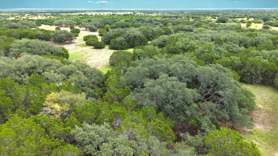 Open pasture and mature trees on Lot 5B