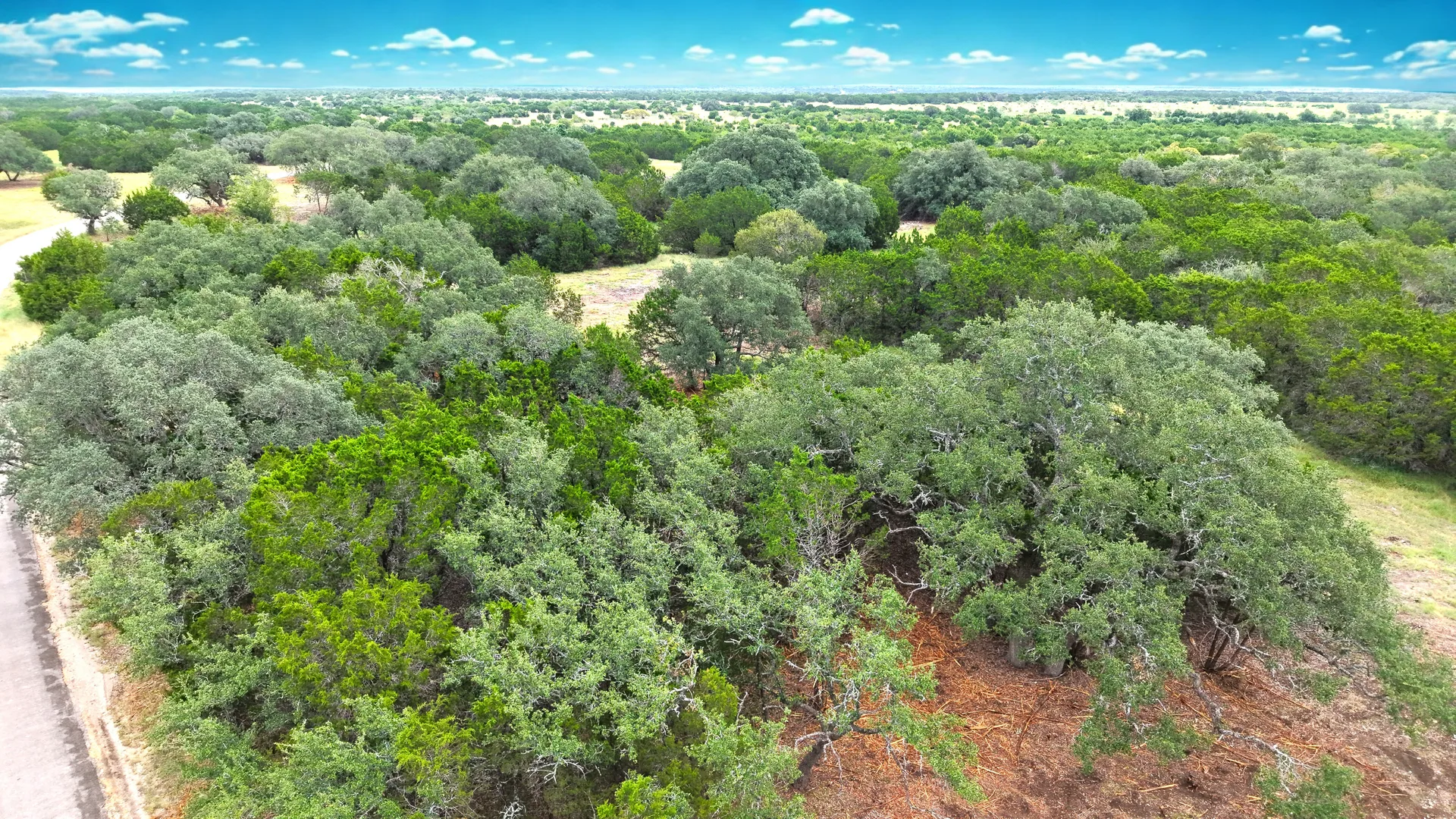 Aerial view of rolling hardwoods across Legacy Oaks near Lake Victor, Texas