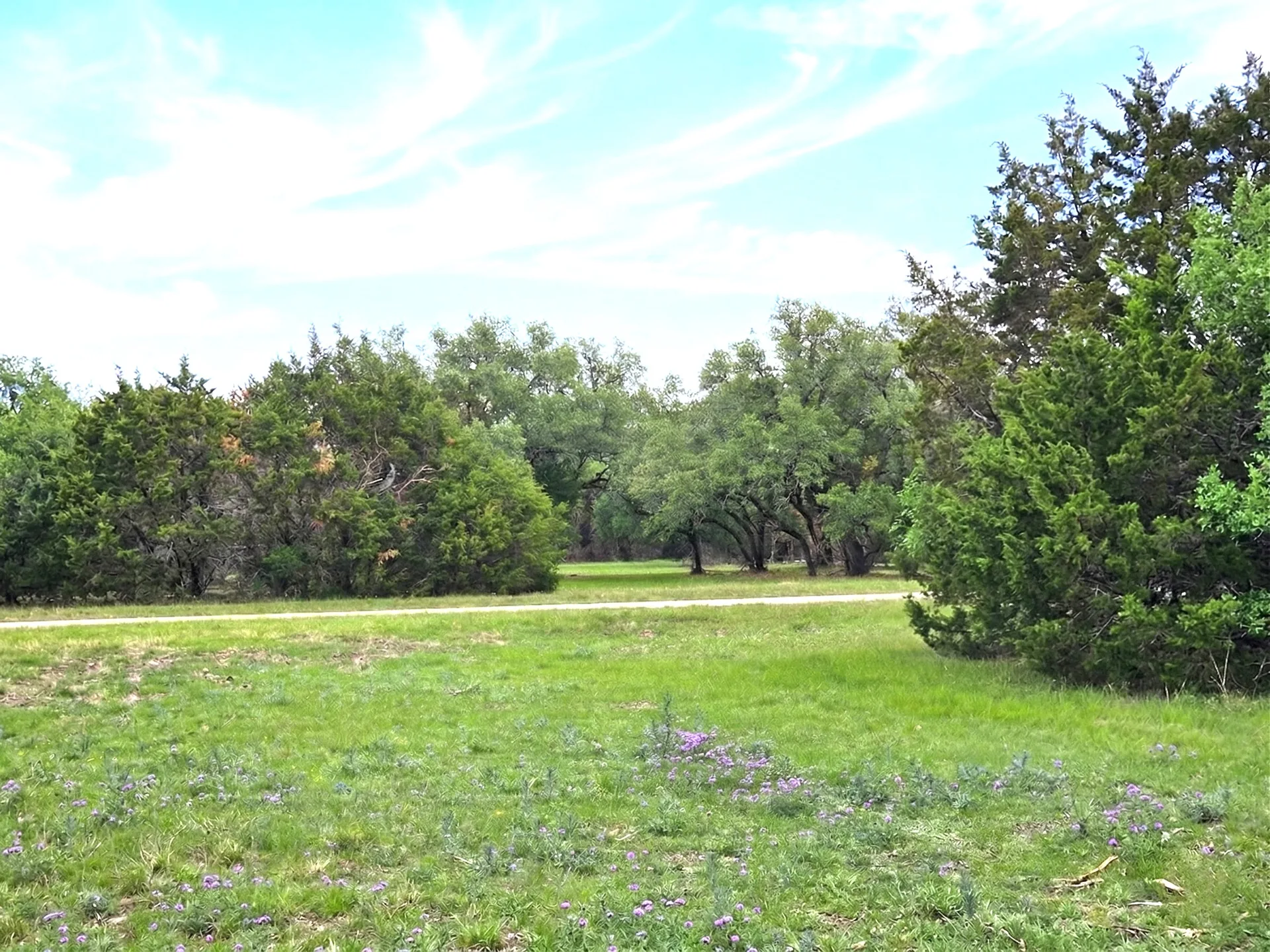 legacy-oaks-lot-3-10