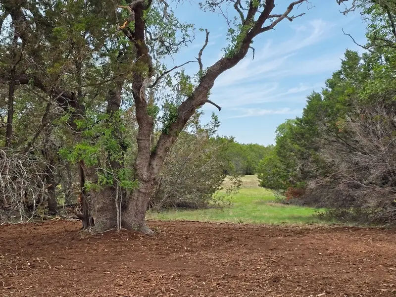 Oak Motte at Legacy Oaks, Burnet County, Texas