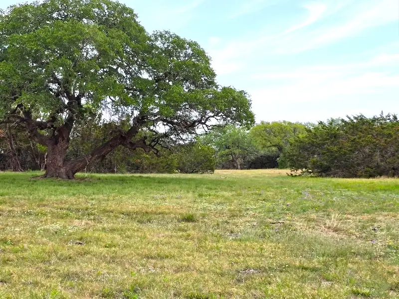Under the Live Oaks at Legacy Oaks, Burnet County, Texas