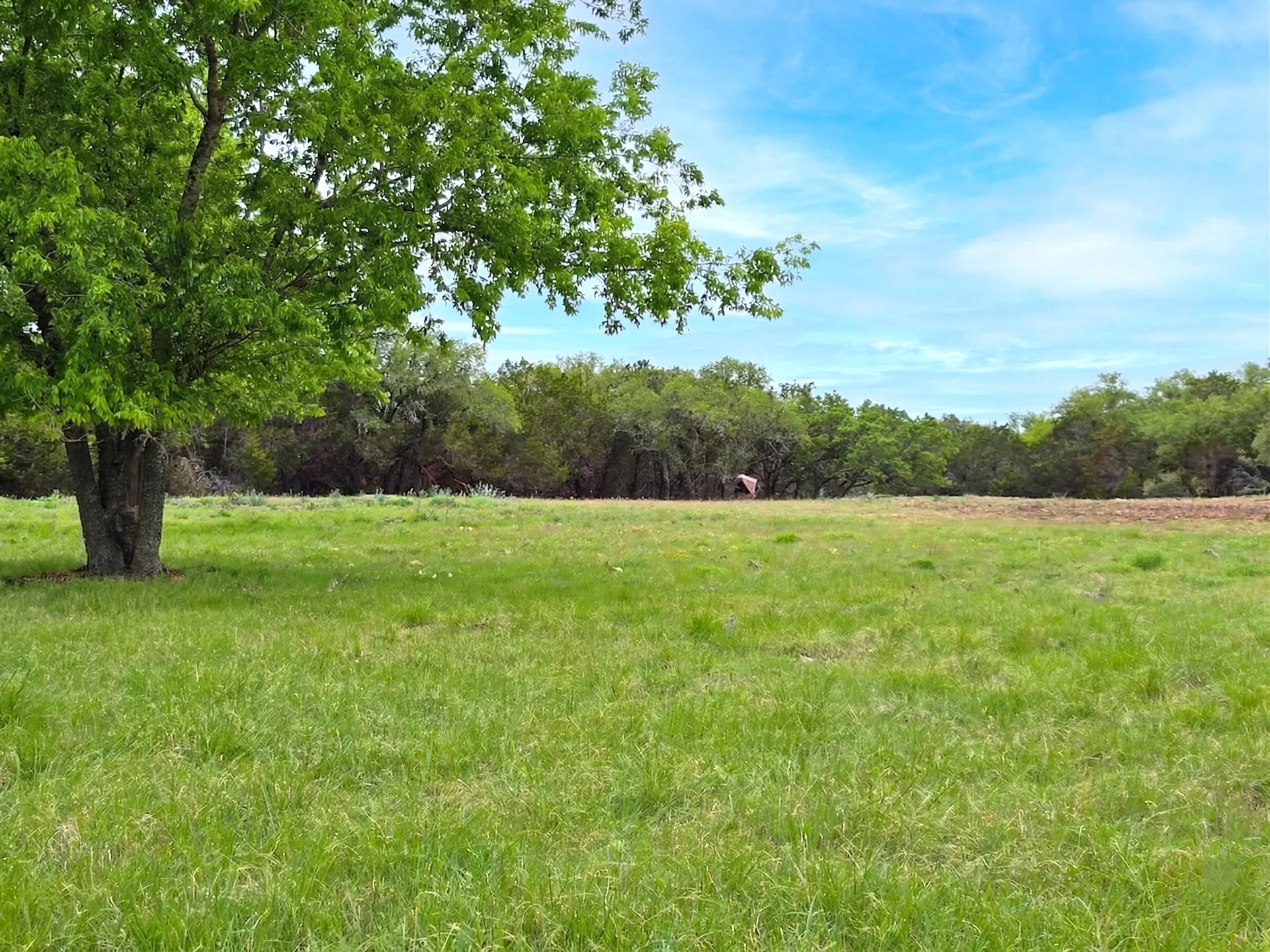 Open grass and scattered oaks under a blue sky at Legacy Oaks