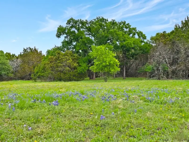 Bluebonnet Season at Legacy Oaks, Burnet County, Texas