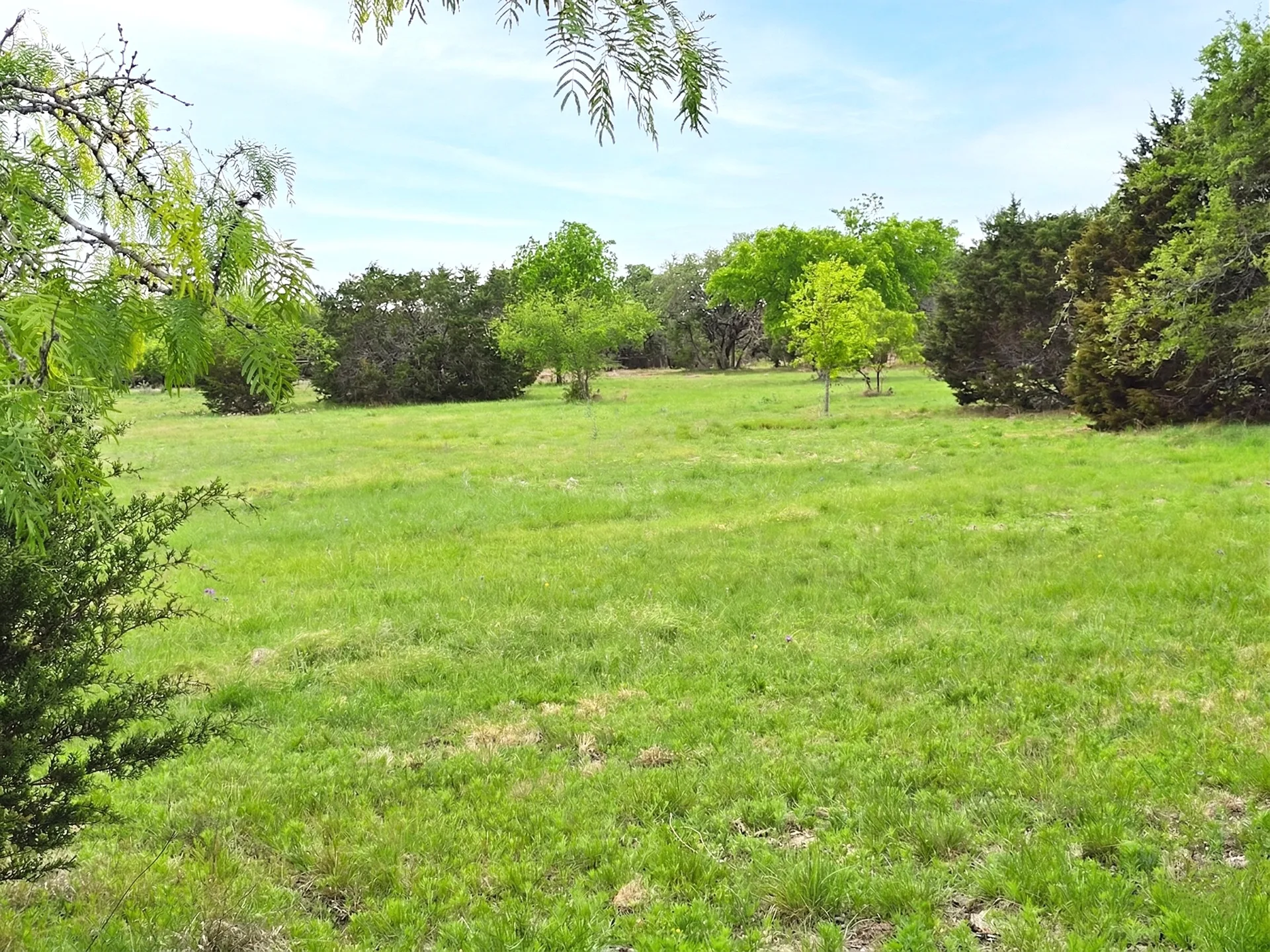 Green grass and oak cover on Tract 3