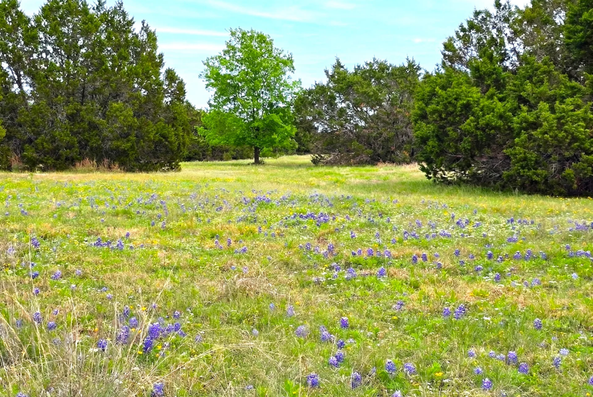 legacy-oaks-lot-3-33