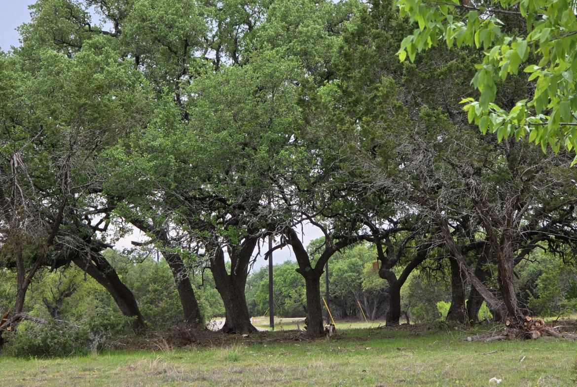 legacy-oaks-lot-5-18