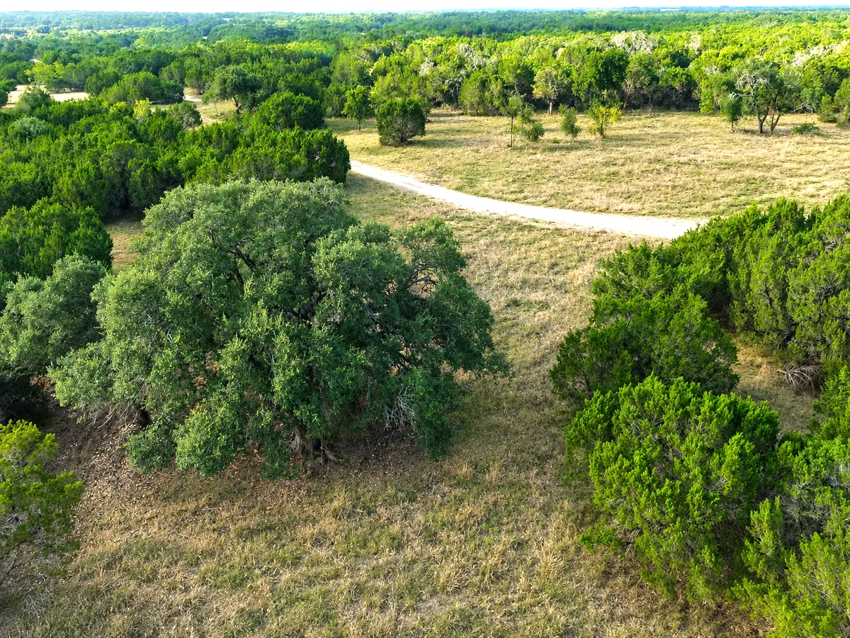 Tract 6 property view at Legacy Oaks