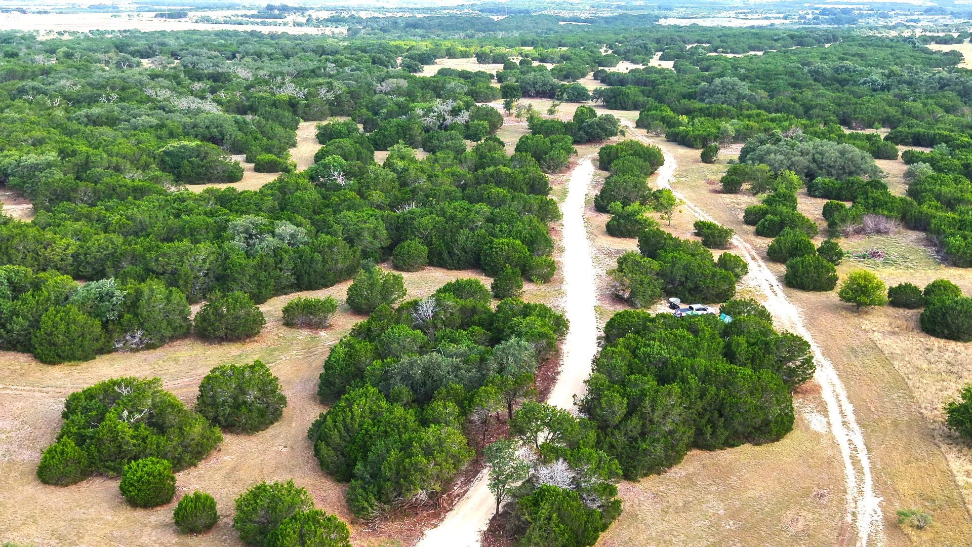 Aerial view of rolling wooded terrain and gravel roads at Legacy Oaks