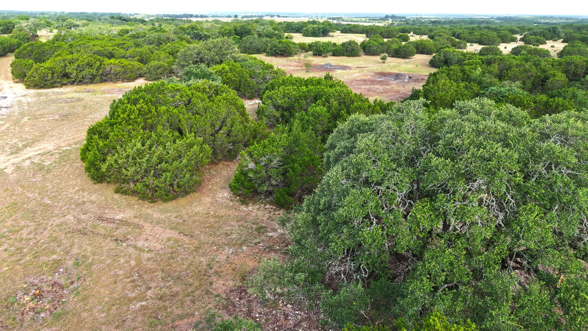 legacy-oaks-lot-6-08