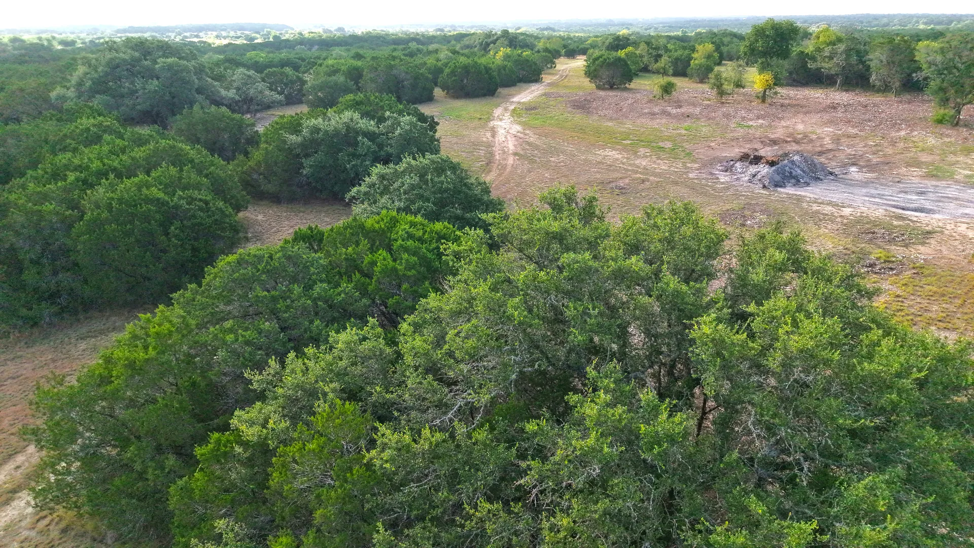 Wooded knoll and open ground on Tract 6